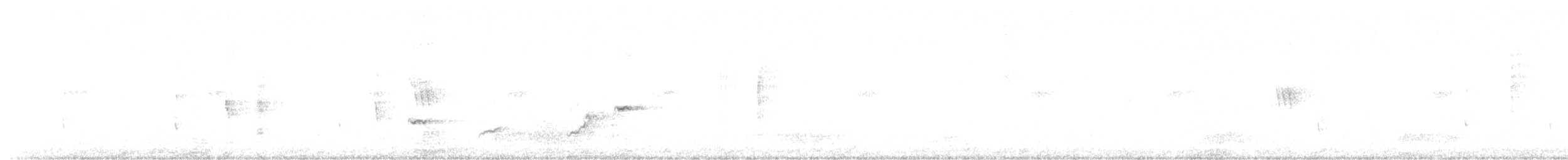 Spot-breasted Fantail - ML645314897