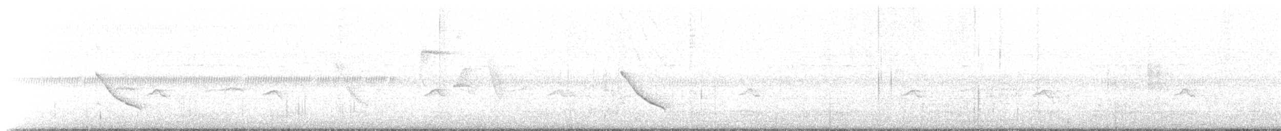 Kara Drongo - ML645314900