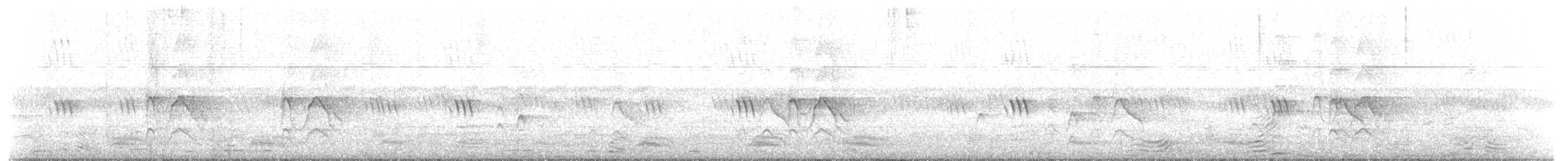 Kara Drongo - ML645314906