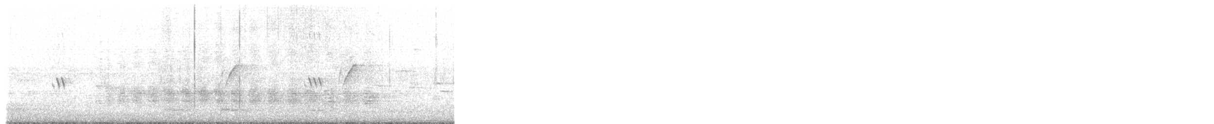 Rufous Treepie - ML645314913