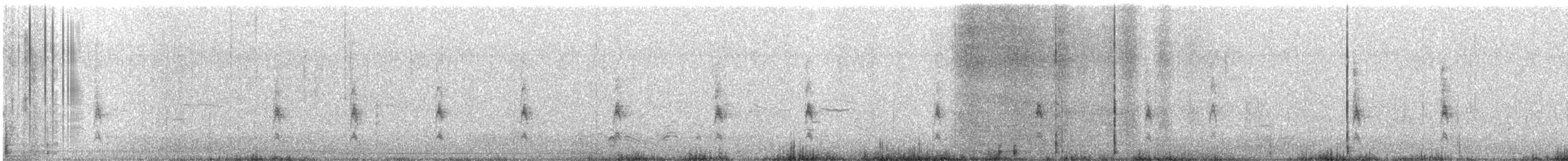 Song Sparrow - ML645315254