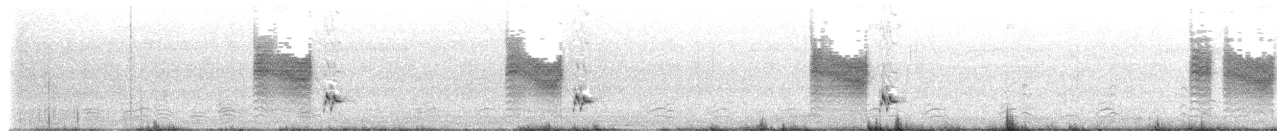 Golden-headed Cisticola - ML645315304