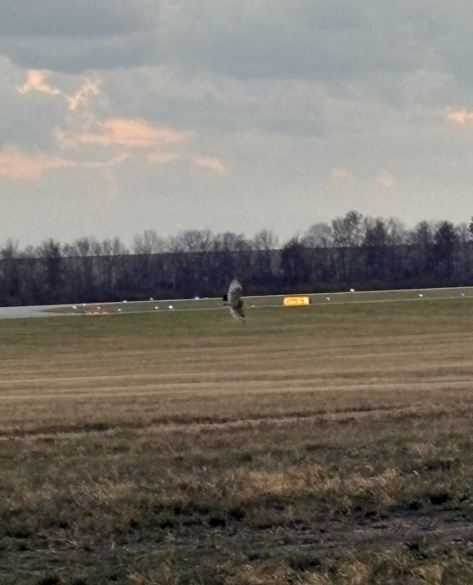 Zingira-hontza - ML645315669