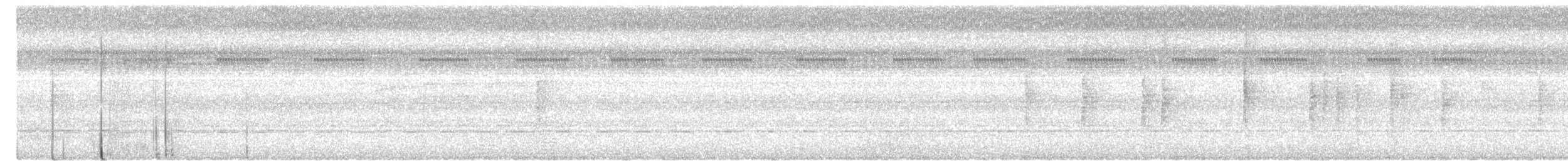 Black Hornbill - ML645315929