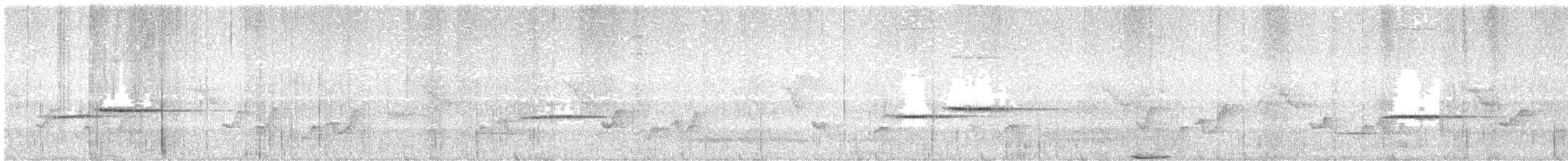 Slaty-backed Nightingale-Thrush (Cordilleran) - ML645316072