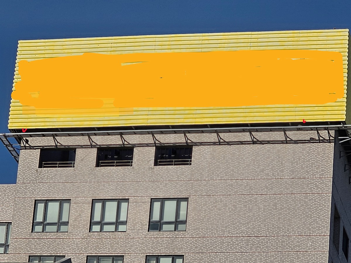 Wanderfalke - ML645316097