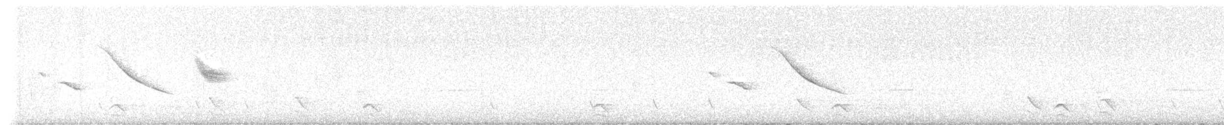 Rufous-collared Sparrow - ML645316340