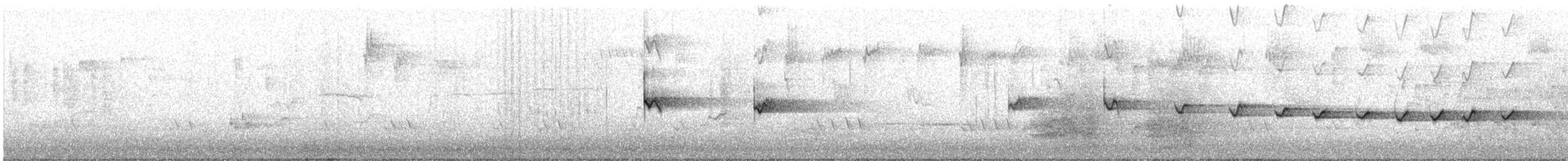 lezčík bělohrdlý [skupina leucophaea] - ML645316527