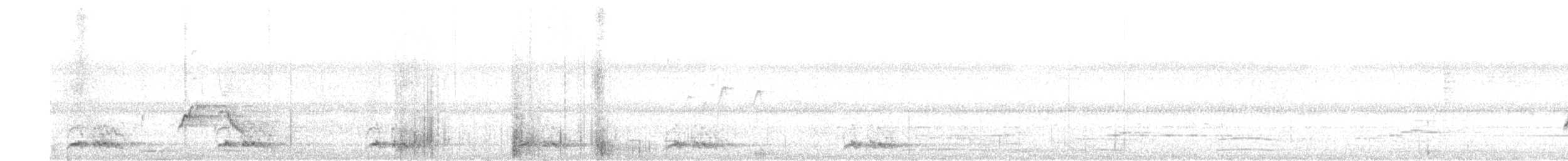 barbet bělolící - ML645316800