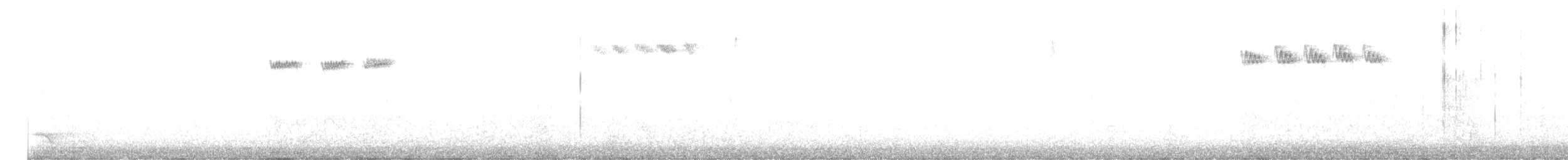 キクイタダキ - ML645316839