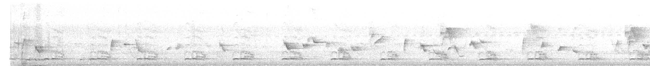 barbet bělolící - ML645316935