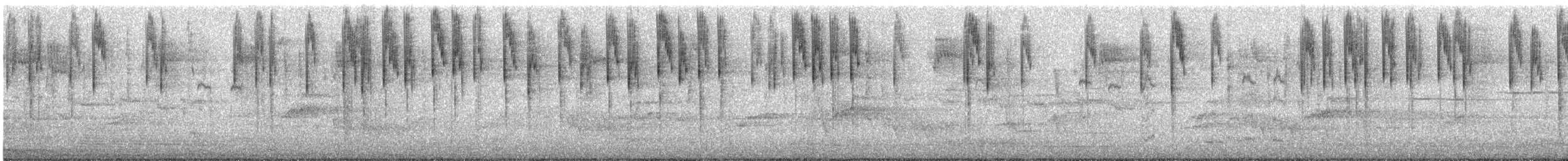 modropláštník nádherný - ML645317184