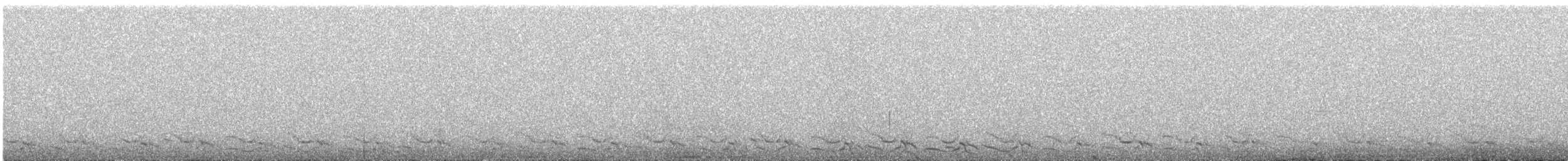 Punatinamu - ML645317292