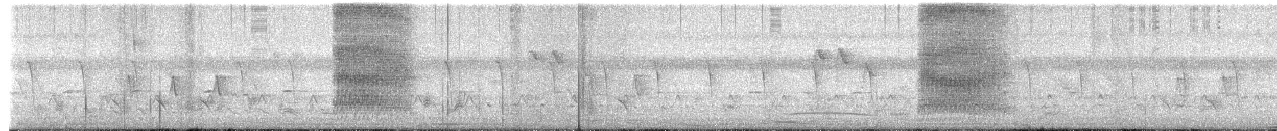 Black-naped Oriole - ML645317506