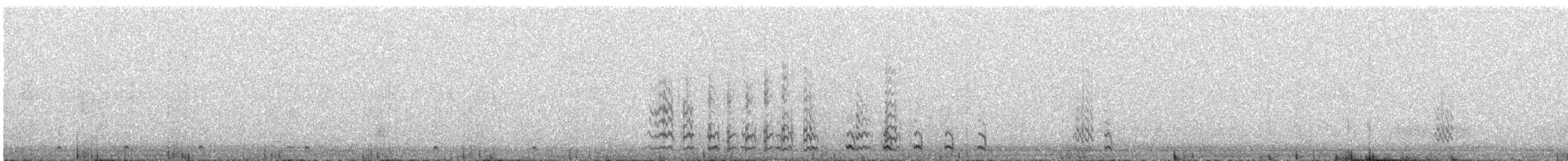 Graubrust-Höhenläufer - ML645317670