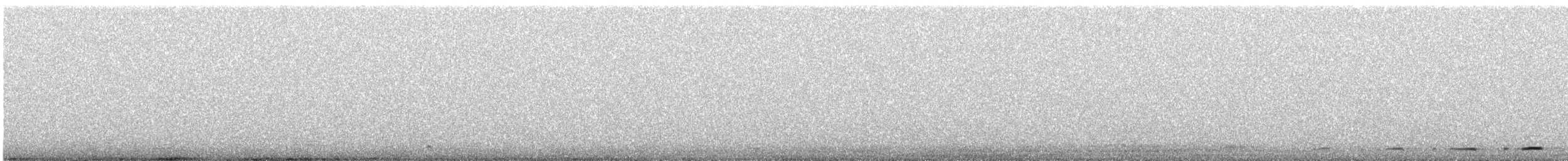 Graubrust-Höhenläufer - ML645317671