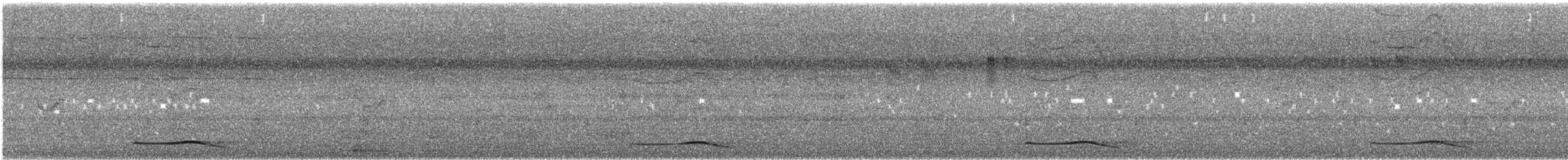 Asienkoel - ML645318040