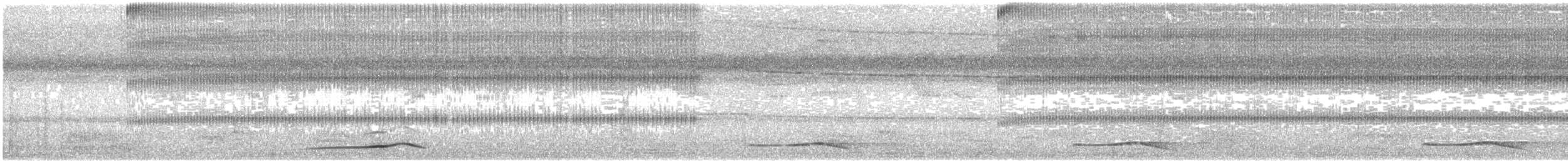 Asienkoel - ML645318091