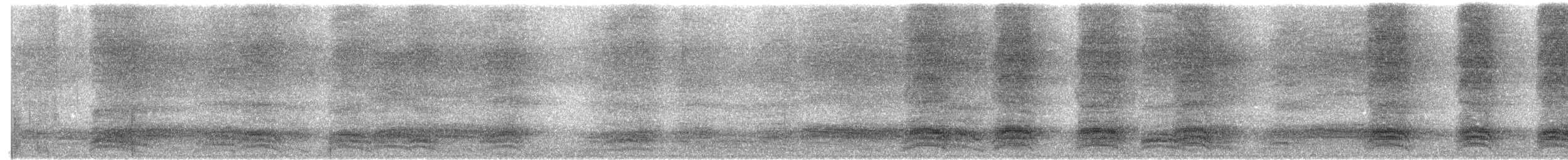 Glanzkrähe - ML645318140