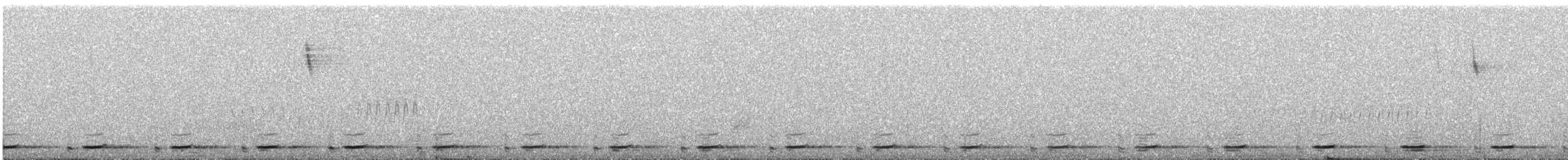 Graubrust-Höhenläufer - ML645318181