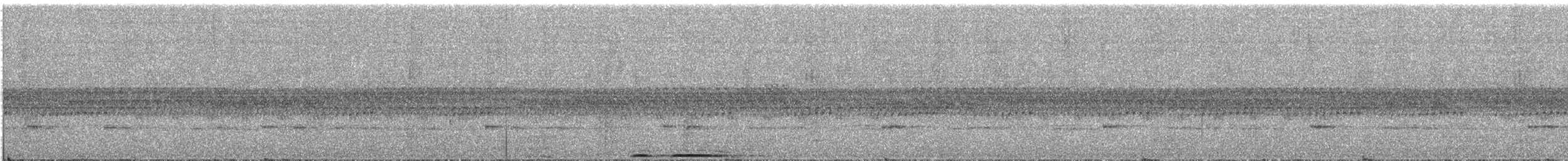 Malaienkauz - ML645318740