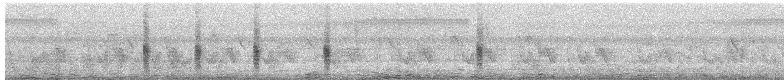 Mönchsweber - ML645318966