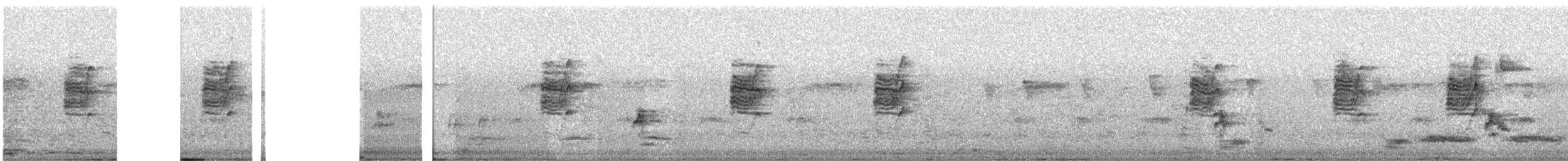 Kara Drongo - ML645319331