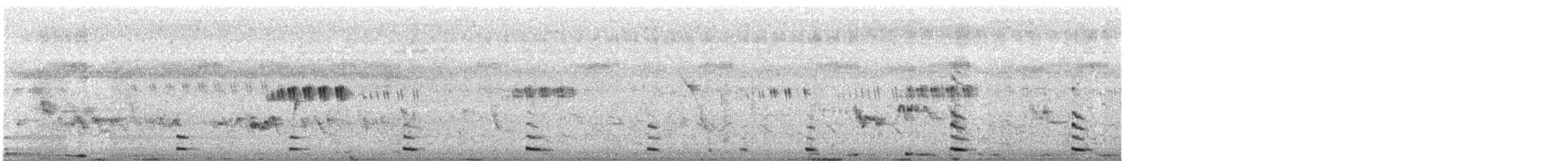 白冠雞 - ML645319353