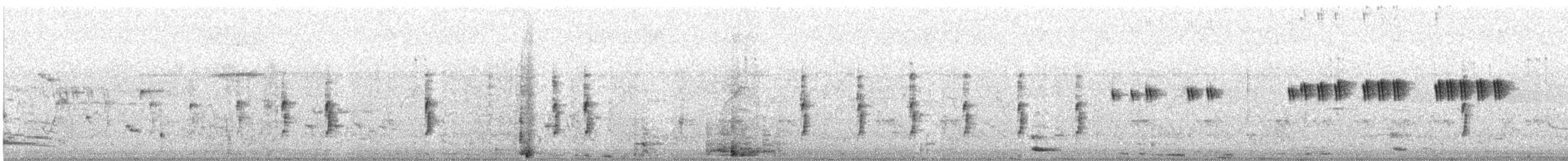 Common Tailorbird - ML645319394