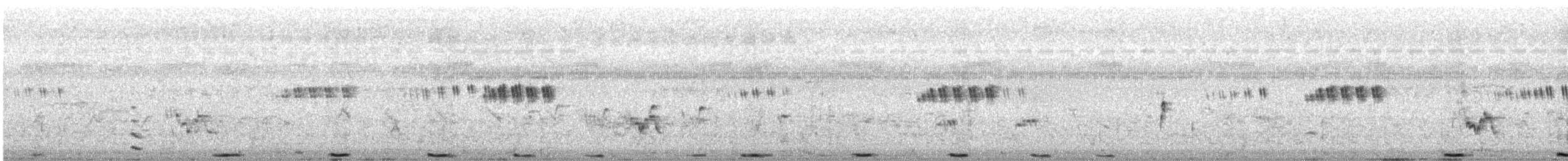 褐翅鴉鵑 - ML645319413