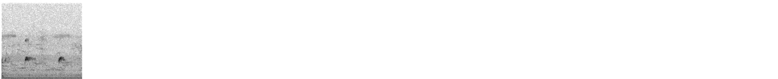 Zampullín Común - ML645319449