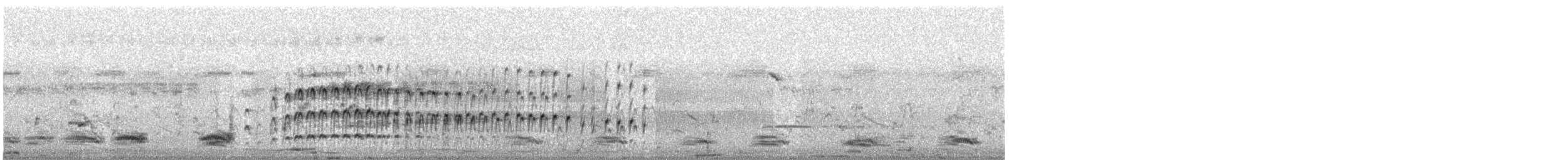 Zampullín Común - ML645319450