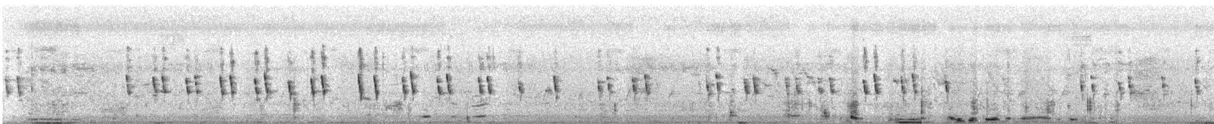 Prinia Sencilla - ML645319489