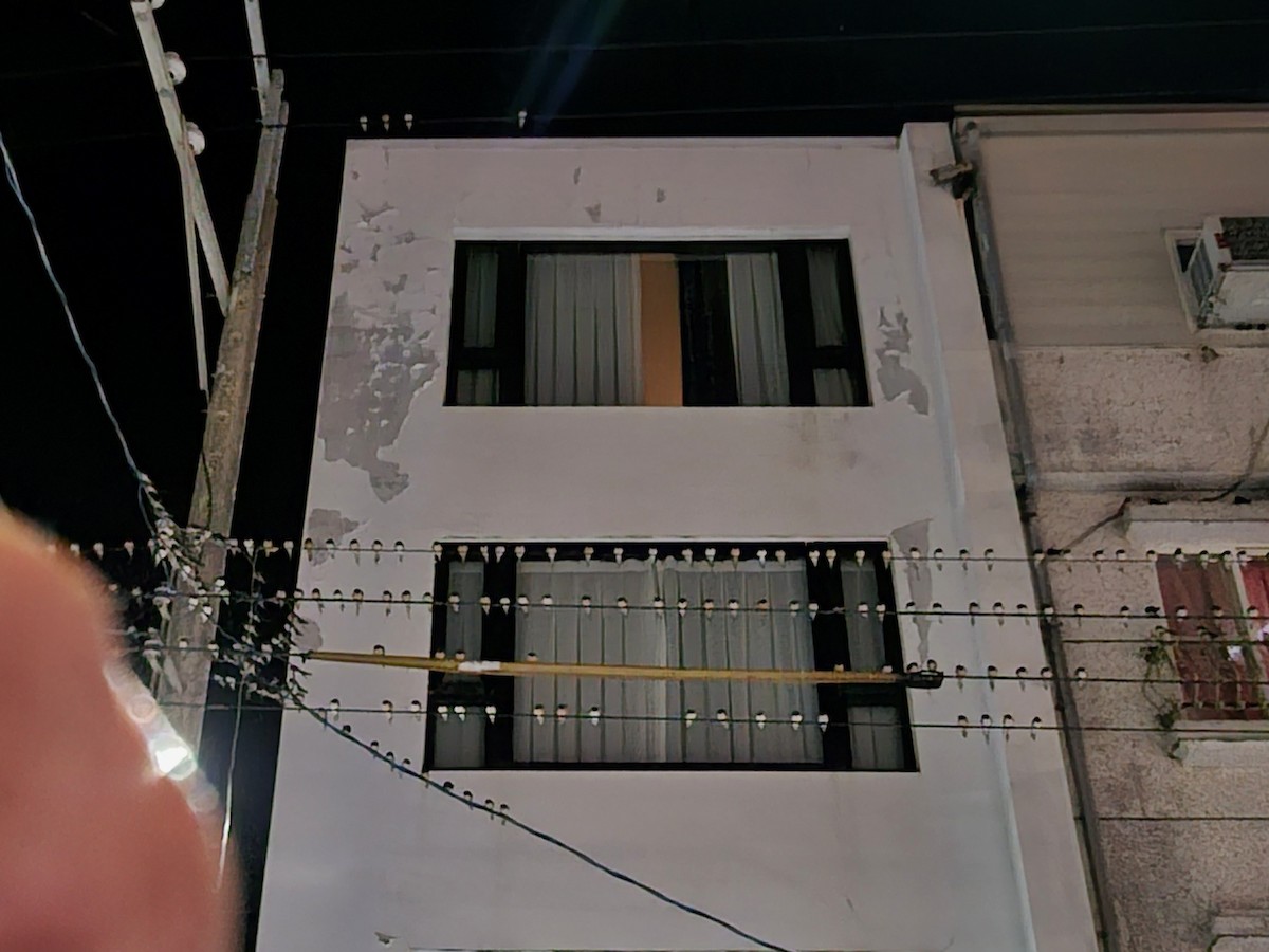 Ластівка сільська - ML645320260