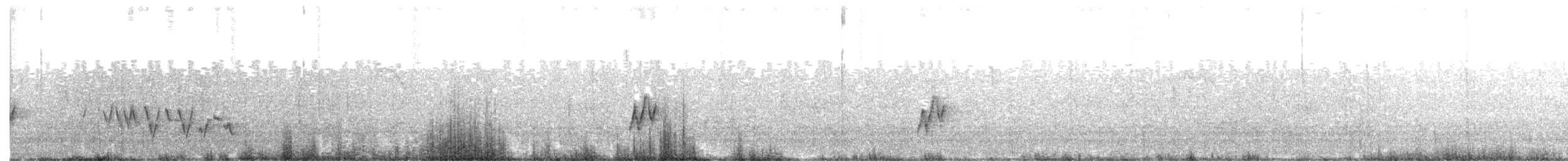 Bulbul de Zanzíbar - ML645320315