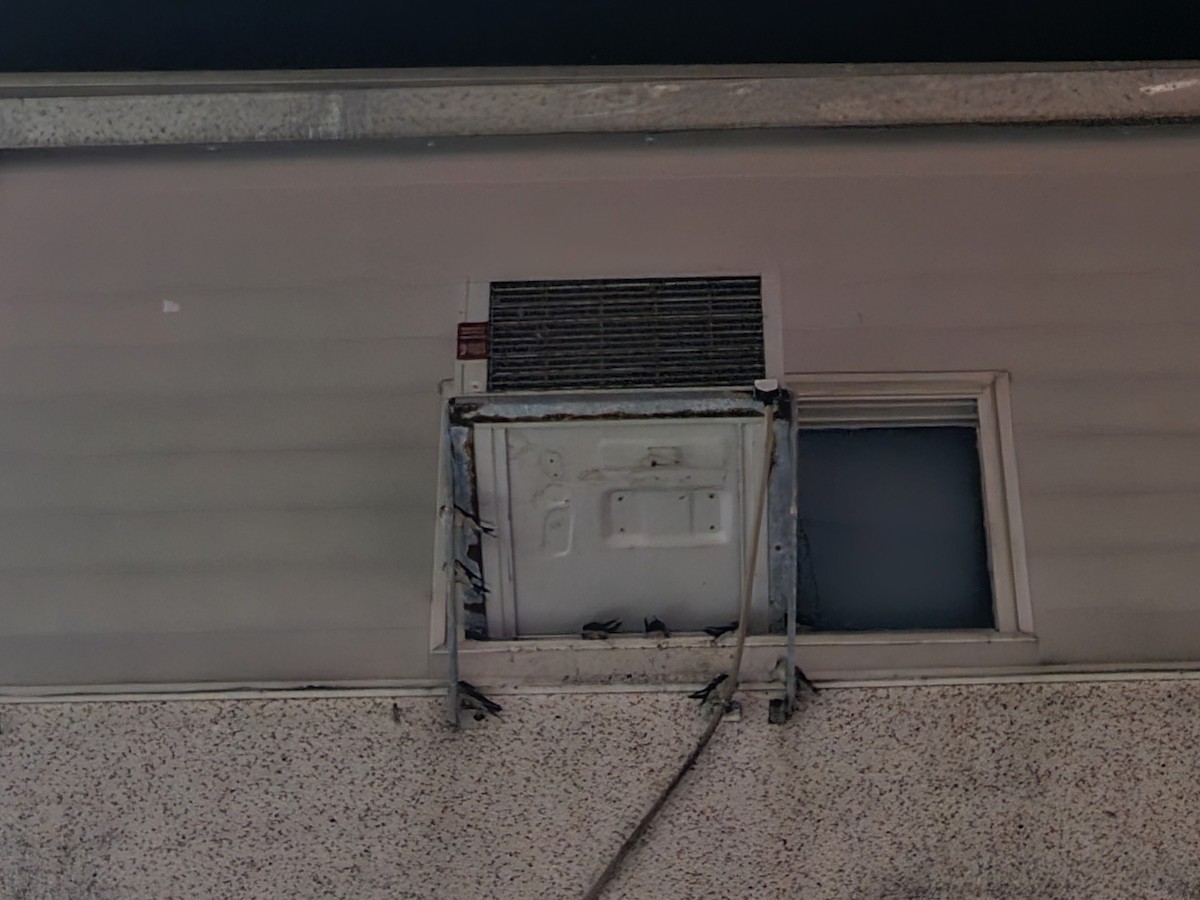 Ластівка сільська - ML645320336