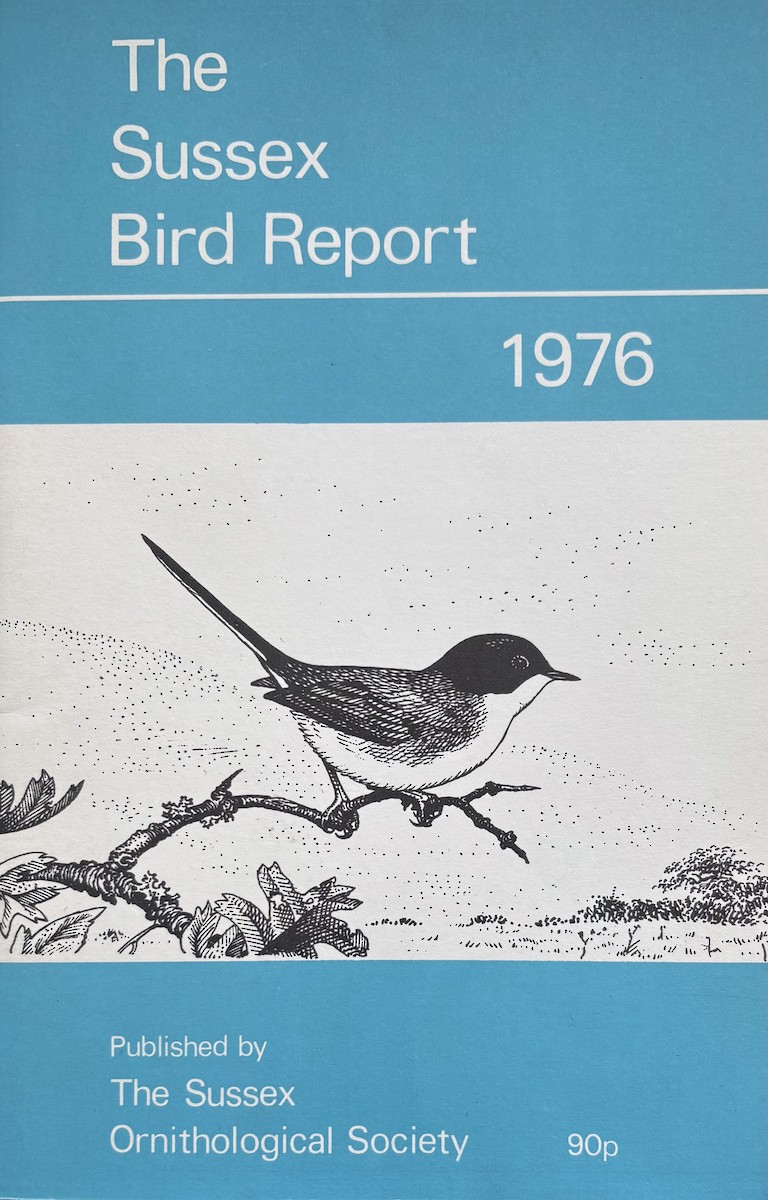 Sardinian Warbler - ML645320342