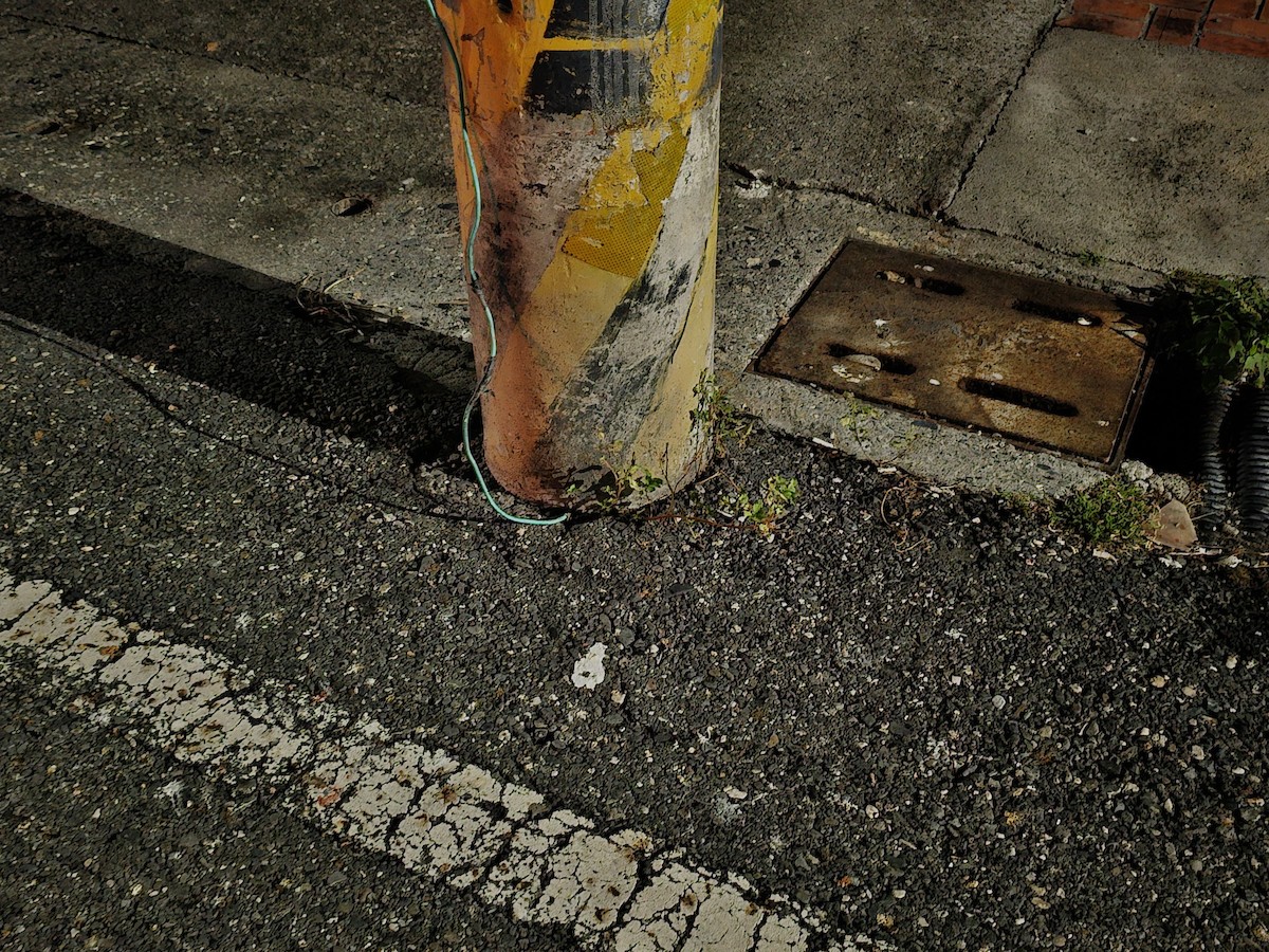 Golondrina Común - ML645320443