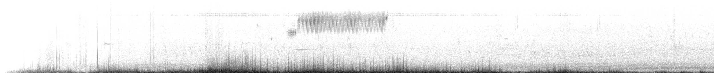 Chingolo Saltamontes - ML645321011