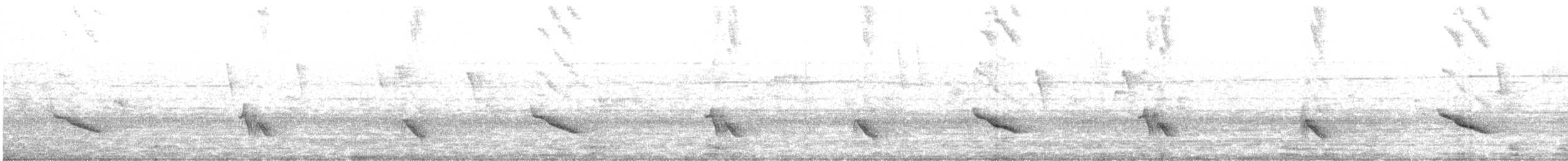 Red-crested Cardinal - ML645321224