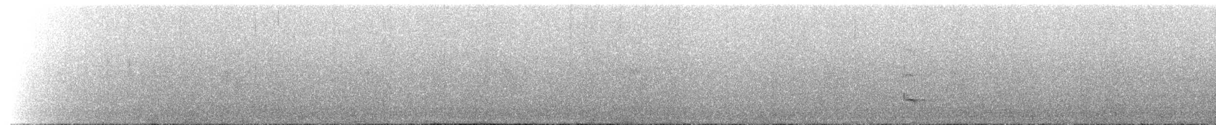 Baltimore Oriole - ML645321415