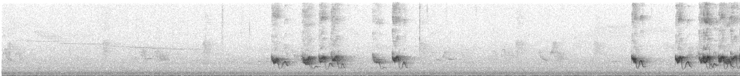 Swallow-tailed Manakin - ML645321545
