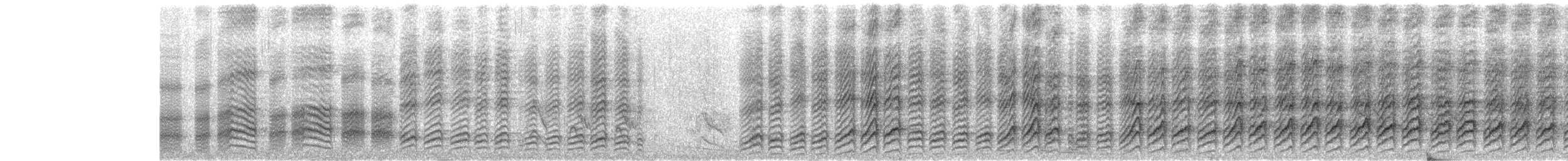 Large Gray Babbler - ML645321599