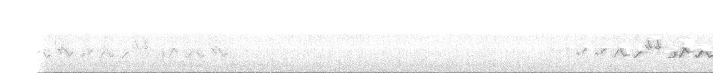 Paruline voilée - ML645322284