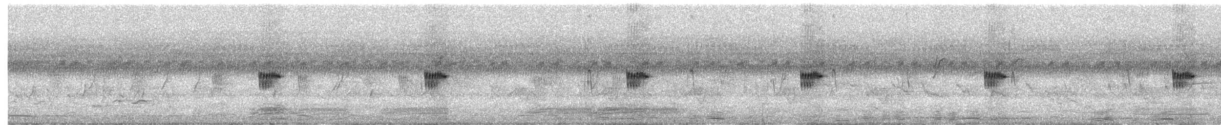 Highland Rush Warbler - ML645322461