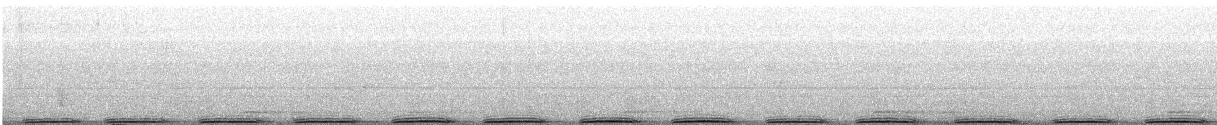 Rock Pigeon (Feral Pigeon) - ML645322528