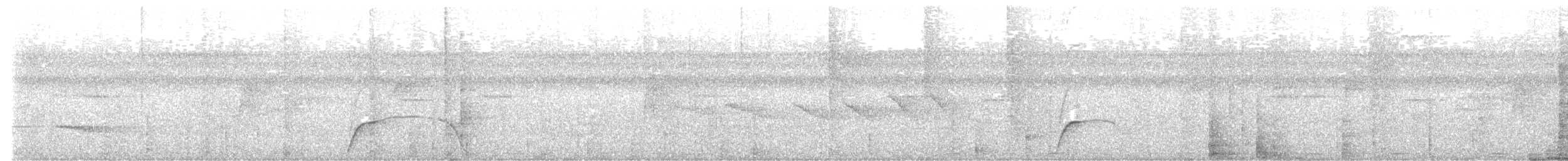 Mavi İbikli Hokko - ML645323152