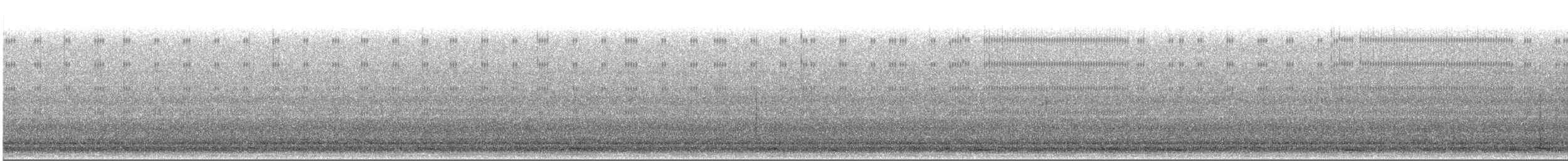 Tundra Swan - ML645324576