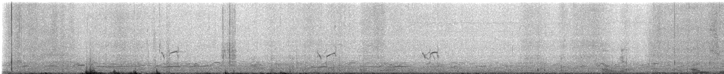 Semipalmated Plover - ML645324738