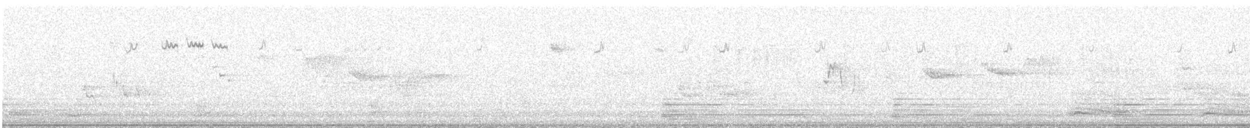 Regolo - ML645324805